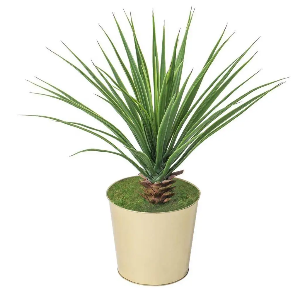 

Manufacture real touch tropical pu plastic material aloe vera succulent faux snake agave plants