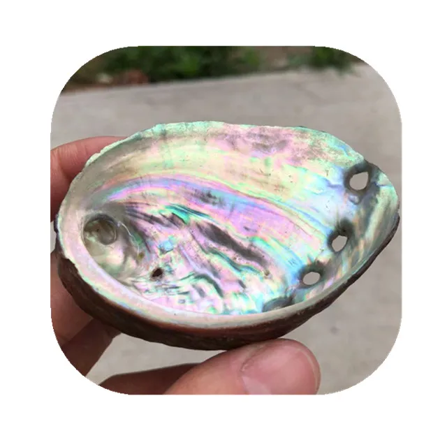 

Wholesale natural Chakra Gemstone Healing Energy Crystal Carved Abalone shell for home decoration