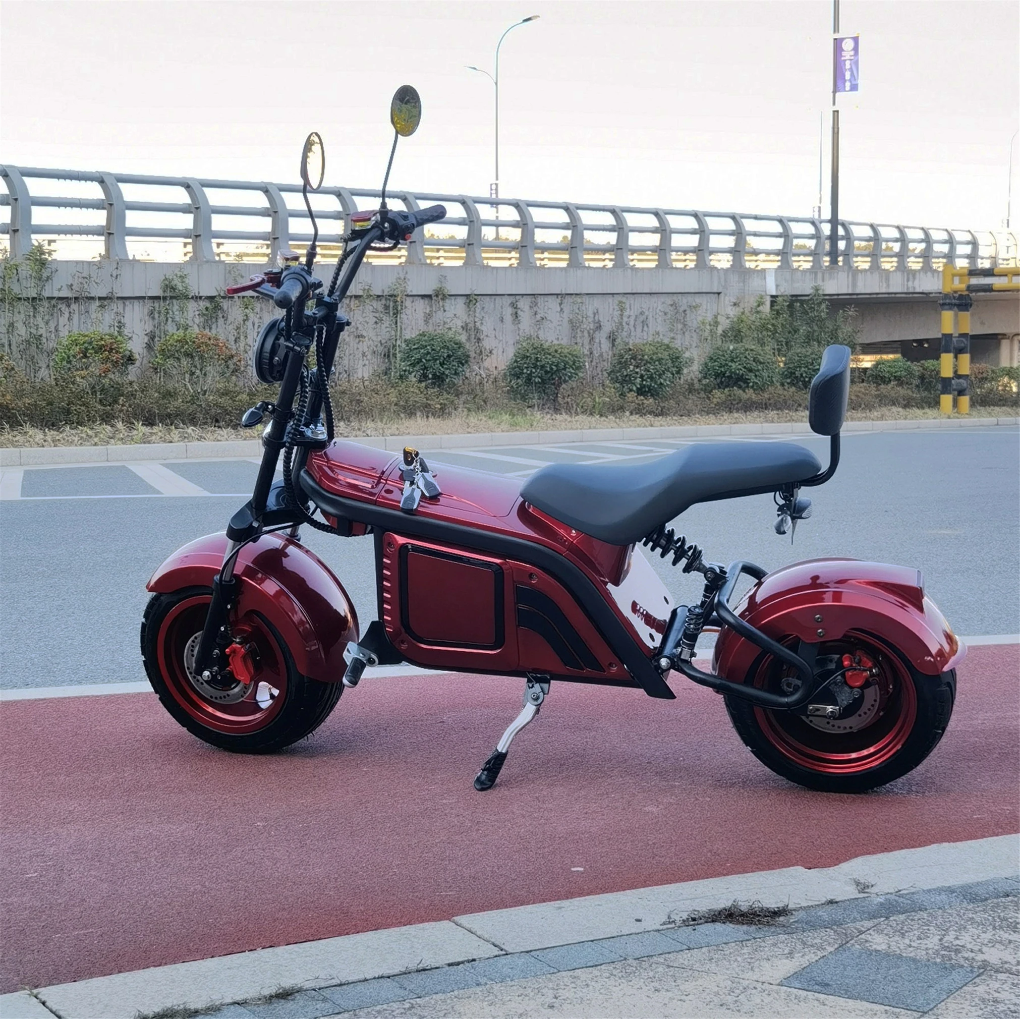 

2022 2000W 3000W Adult Fat Tire Electric Scooters Adult Citycoco Motorcycle Moto Electric Scooter European Warehouse