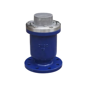 Pn16 Cast Iron Flanged Type Foot Valve With Strainer - Buy Foot Valve ...