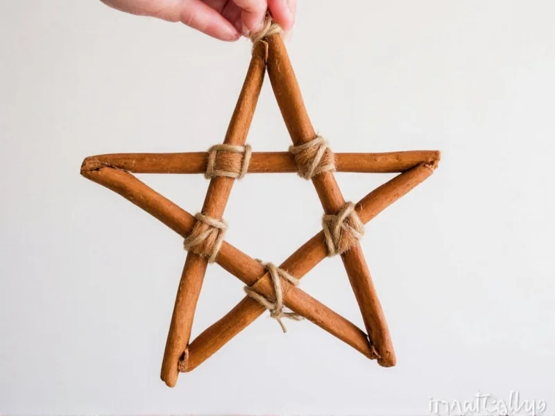 Handmade cinnamon stick star ornament with twine hanging