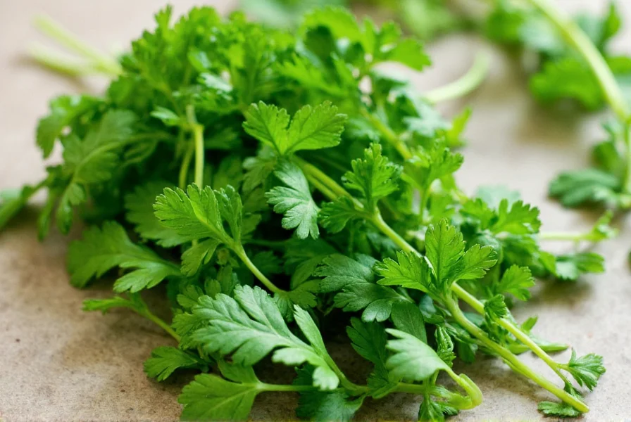 Cilantro Leaves Pack