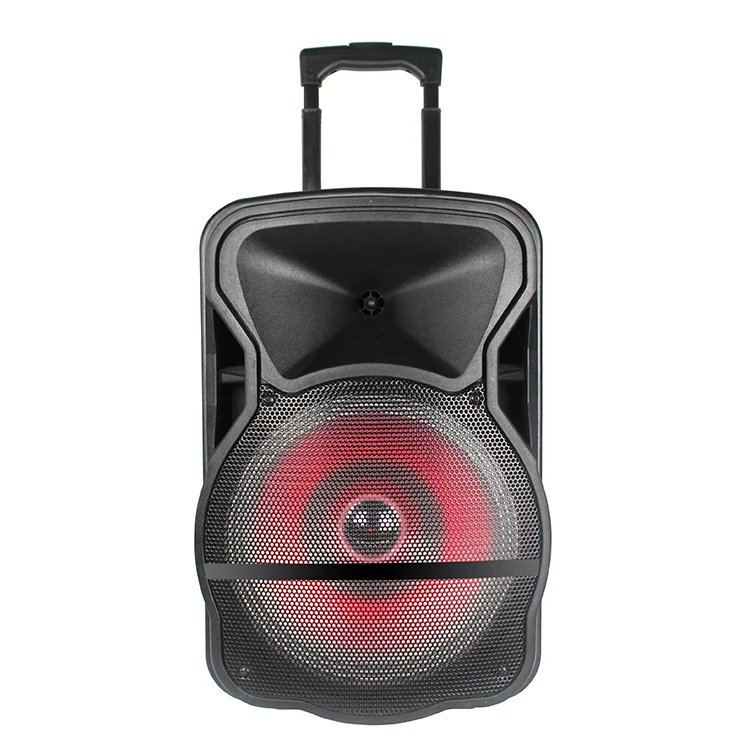 

Top Sale 12 inch PA Speaker with Battery Multimedia System Speaker Trolley