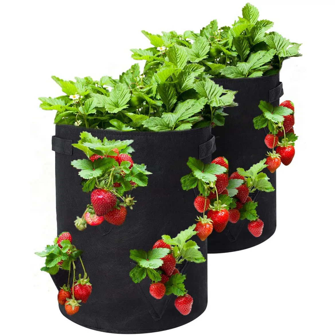 

TGB-A016B Benefit natural material Garden Planting Bag Grow Felt Fabric Planter Bag Strawberry, Customized