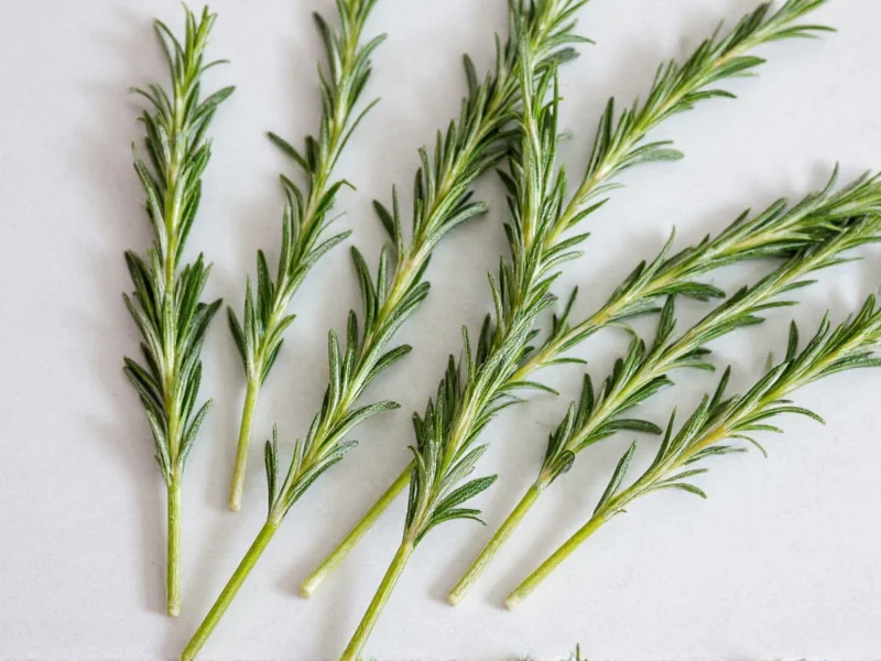 Fresh to Dry Rosemary Conversion: Exact Measurements