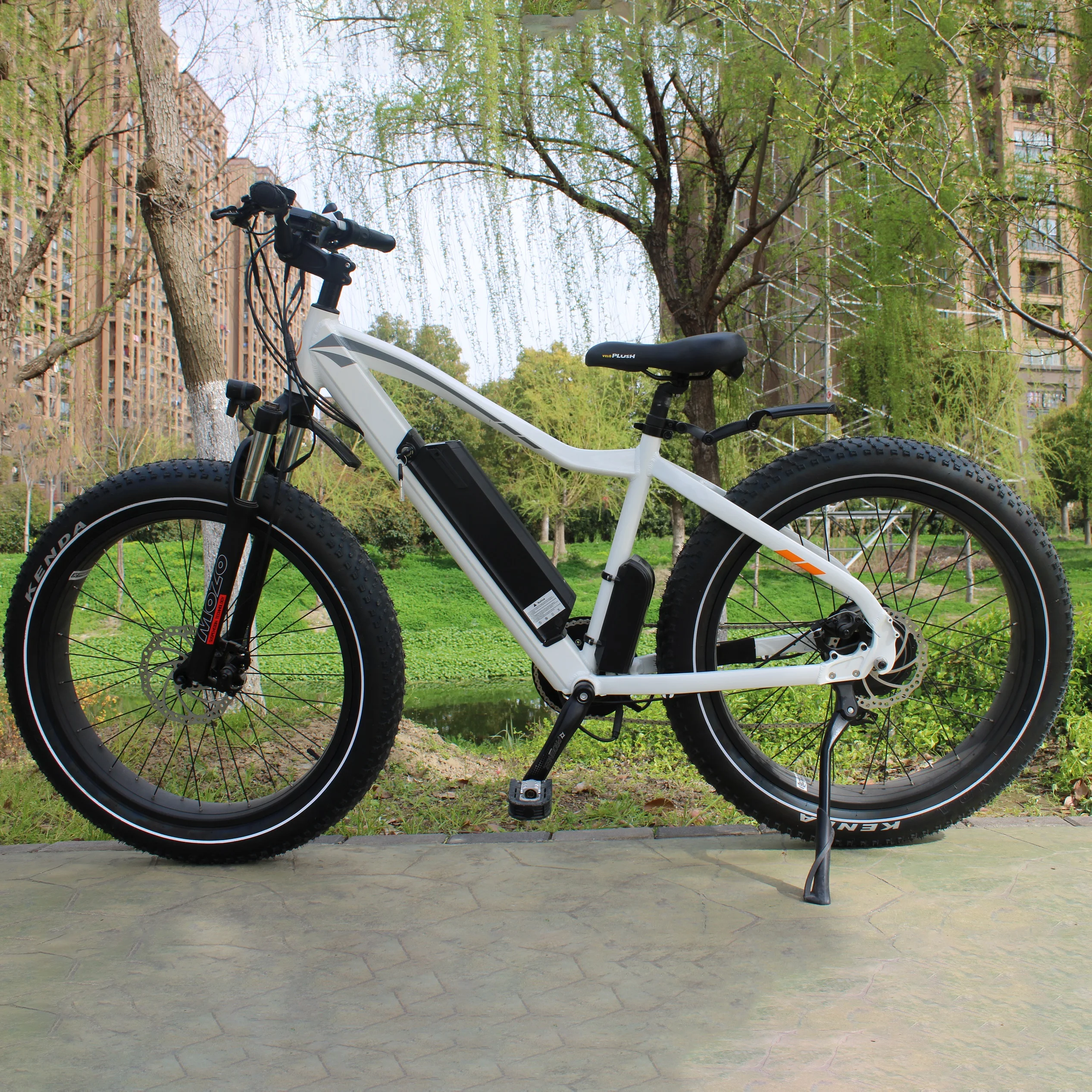 

48V/750W 26 Inch Removable Lithium Battery Color customized E Mountain Bike Ebike Fat Tire Motorbike Electric Bicycle