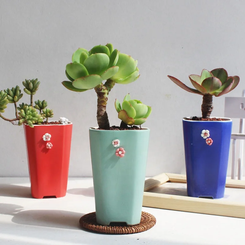 

New arrival ceramic succulent flower pots with green plants and small potted flowers