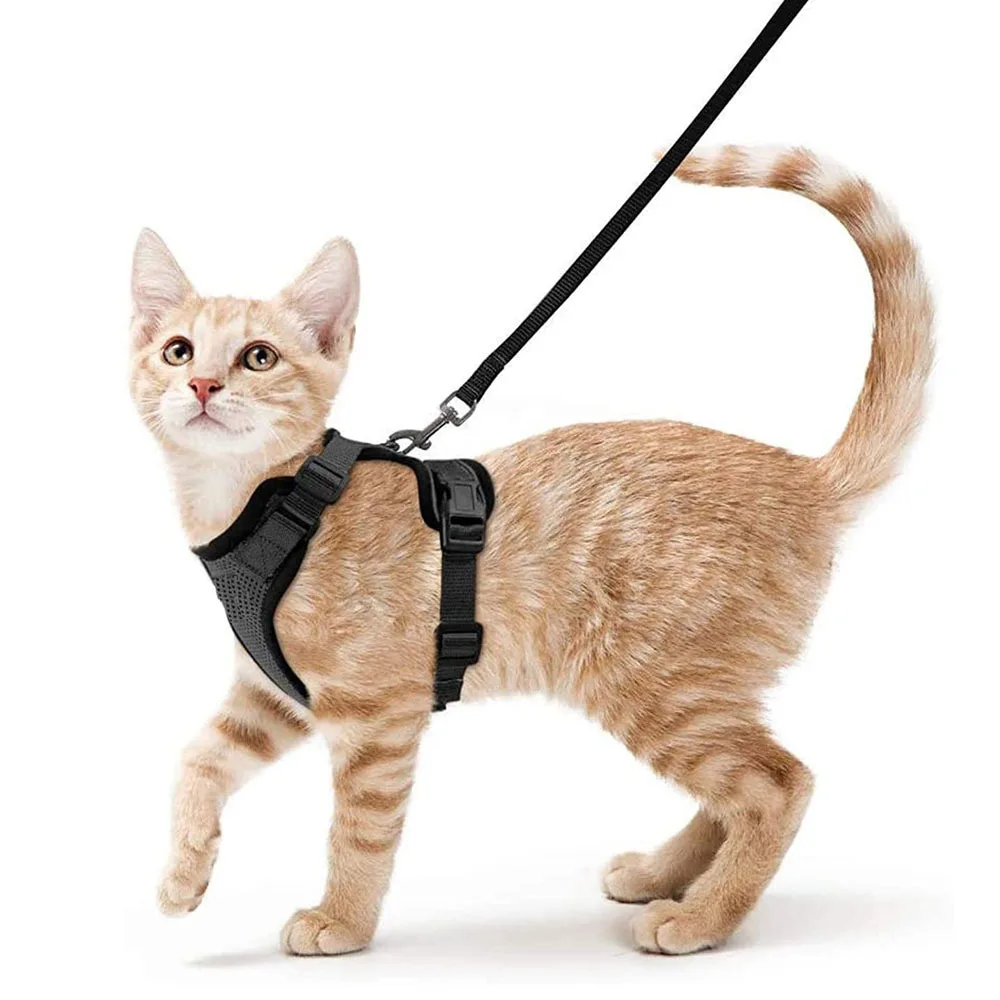 

cat leash adjustable cat harness set breathe freely reflective cat vest and leash set, Black