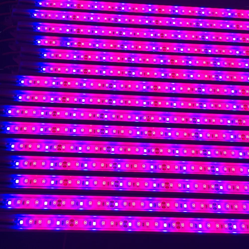 hot sale cheap price horticulture 10w 78cm led grow lamp light for strawberry farm