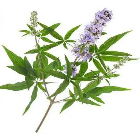 

Manufacturer 100% Natural and Pure herbal oil Vitex oil for health care products