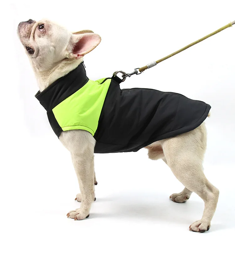 

Warm dog clothing can be customized in autumn and winter
