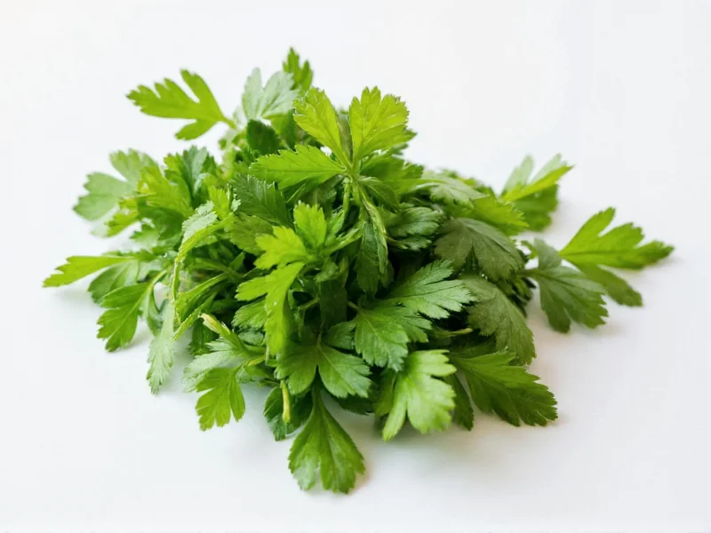 2 Tbsp Fresh Parsley = How Much Dried? Exact Conversion