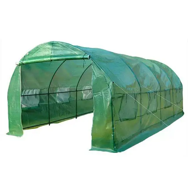 

Skyplant garden greenhouse kit for vegetables /flowers, Green