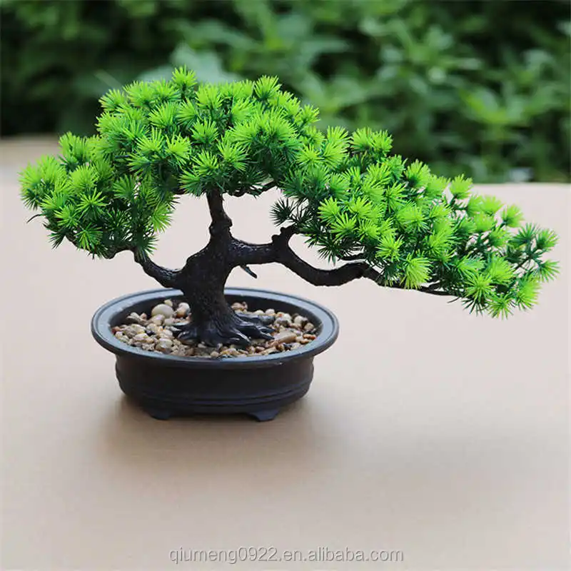 人造花盆景绿植禅意仿真树松盆栽花盆桌面摆件风水装饰植物观赏 Buy 桌面装饰 植物观赏 盆栽绿色植物product On Alibaba Com 人造花盆景绿植禅意仿真树松盆栽花盆桌面摆件风水装饰植物观赏 Buy 桌面装饰 植物观赏 盆栽绿色植物product On Alibaba Com