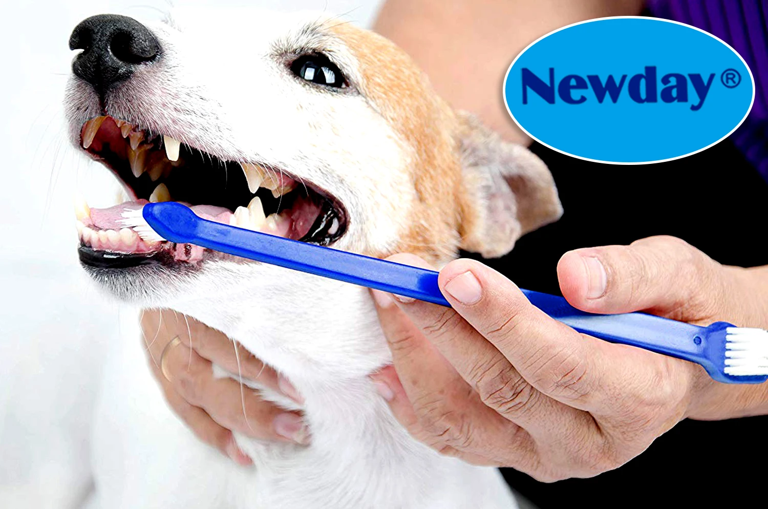 Hygiene Teeth Care Dog Toothbrush Pet Toothbrush With Dual Head Dog