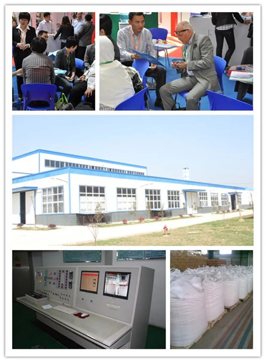 SAP Bag for flood protection