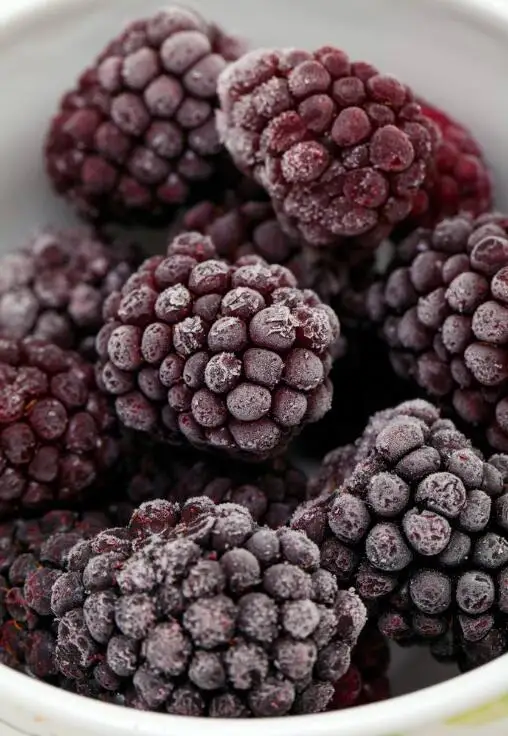 
Iqf Fresh Blackberry Fruits Frozen 