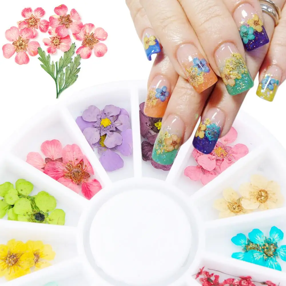 

Wheel Nail Art Decoration Dried Flower 3D Manicure Polish Summer Real Preserved Floral Leaf Mixed Dry Bloom Tips, Colorful