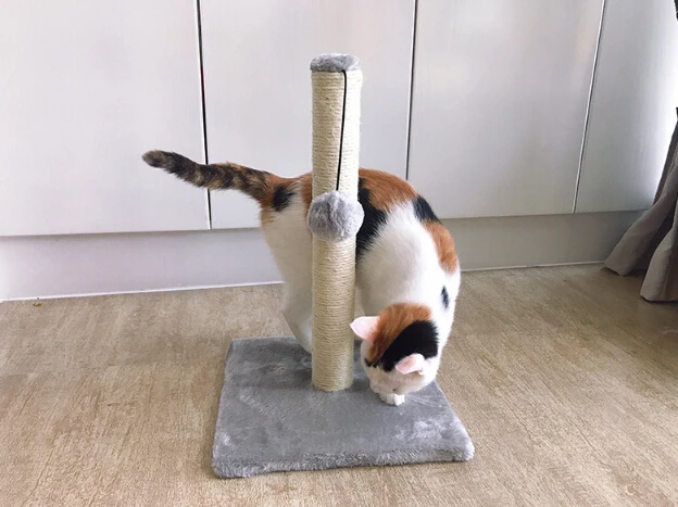 Amazon Hot Sale Sisal Stubble Cactus Cat Scratcher Toy Cat Climbing Frame Tree