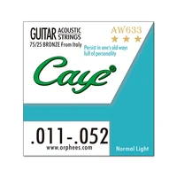 

Chinese Wholesale CAYE Acoustic Guitar Strings,guitar strings packaging