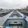 Q345B Highway and Railway Prefab Bridge steel bridge decking