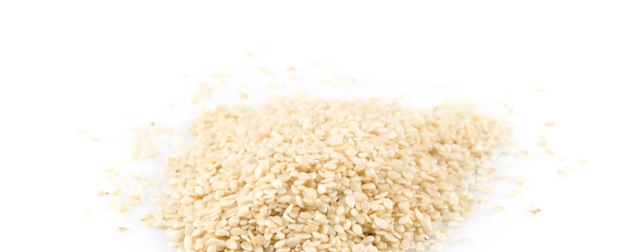 Ethiopia Competitive Price Humera White Sesame Seeds For Sale Buy