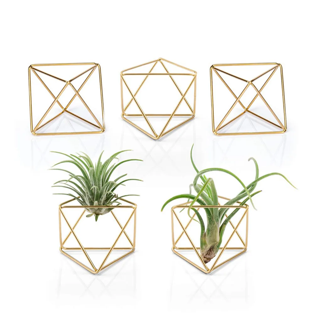 

Metal Geometric Air Plant Holder Modern Hanging Air Plant Hangers Holder hanging air plant terrarium for home decoration