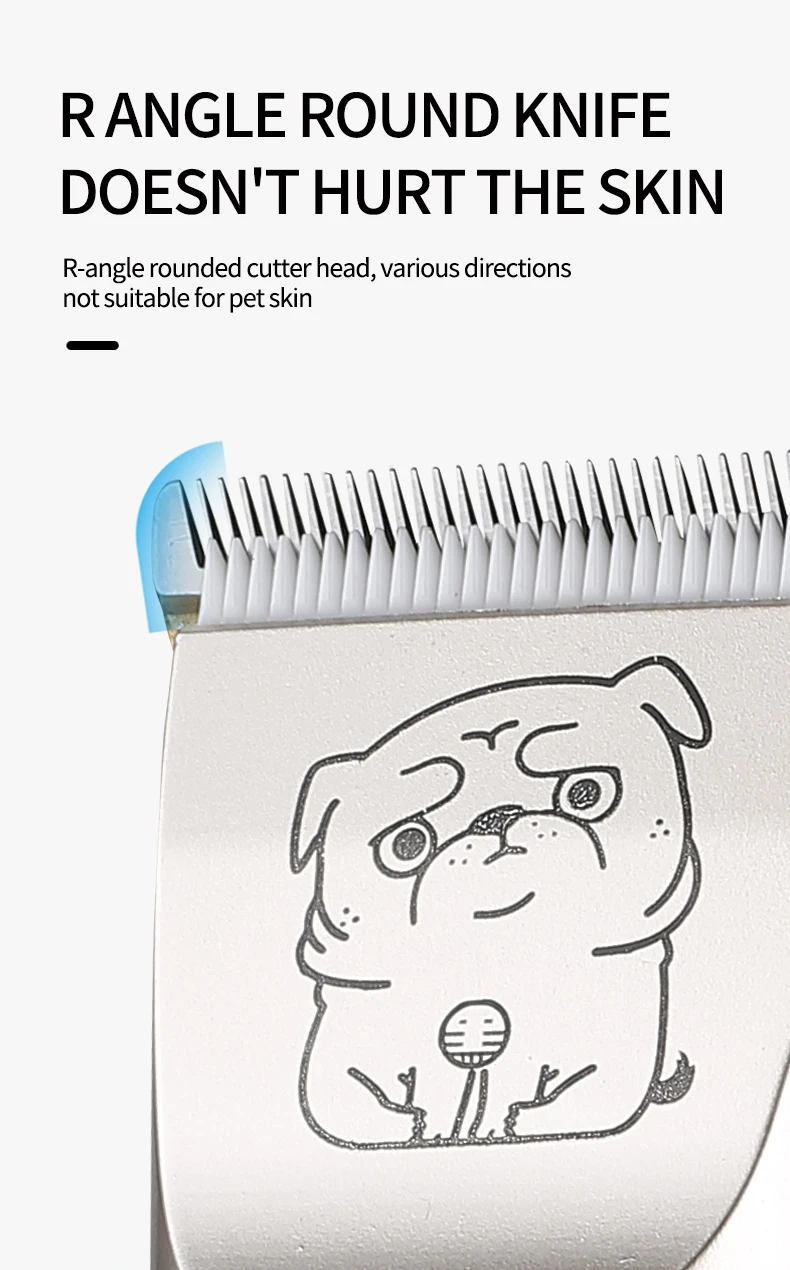 _05.jpg