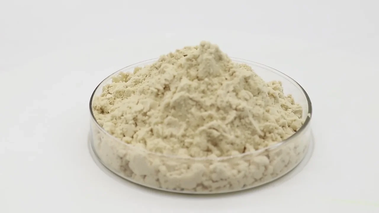 Manufacturer Price Organic Natural Pineapple Stem Extract Bromelain