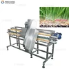 Automatic Tray Band Saw Vegetables Cutting Machine for Cutting Vegetable Head