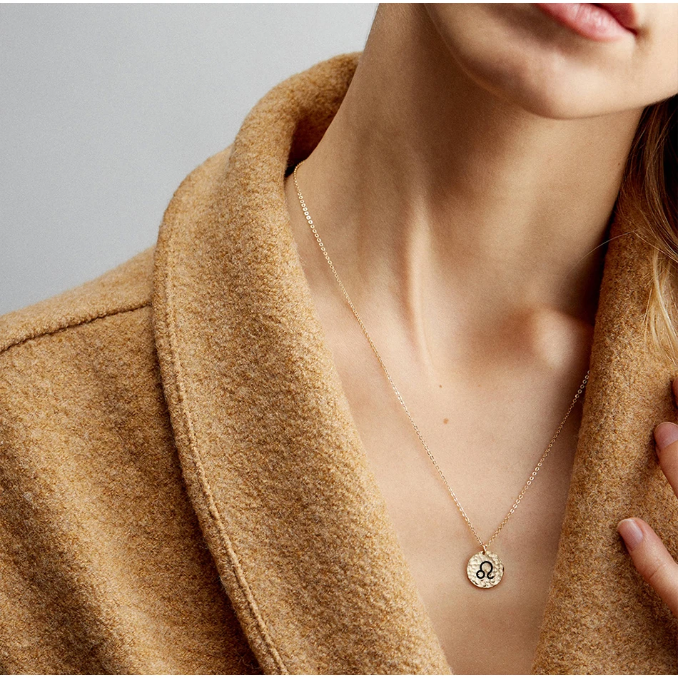 

Long Stainless Steel Silver Accessories Women Pendant Heart Chain Gold Plated Charm Astrology Sign Necklace Love