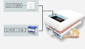 Hot sell dual power fully automatic chicken egg incubator
