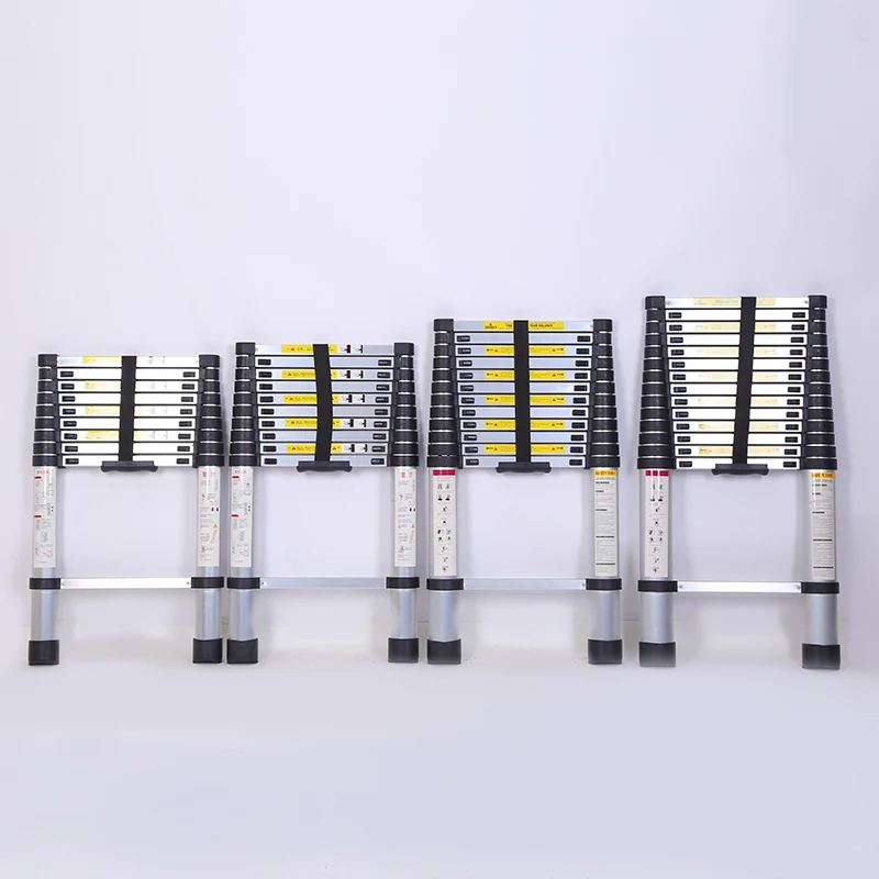 double telescopic ladder