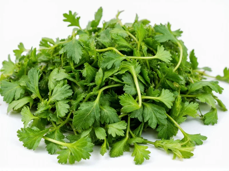 Best Coriander Substitutes: 5 Practical Alternatives for Cooking