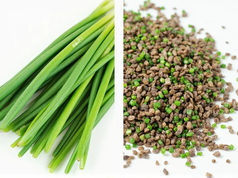 Fresh Chives vs Dried: Flavor, Uses & Substitution Guide