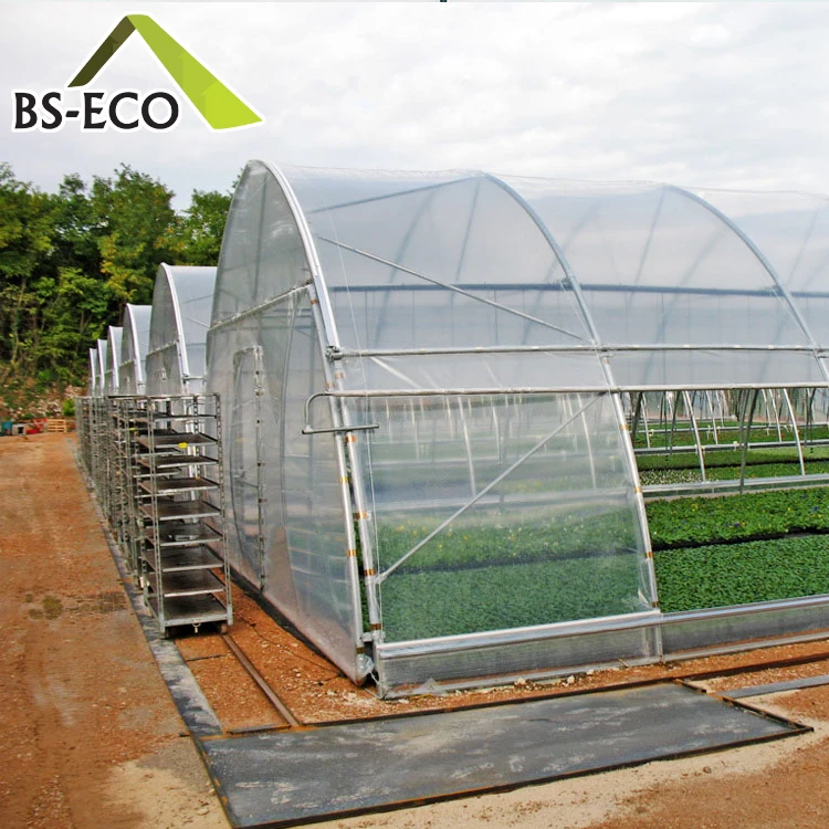 Single Span Greenhouse 18