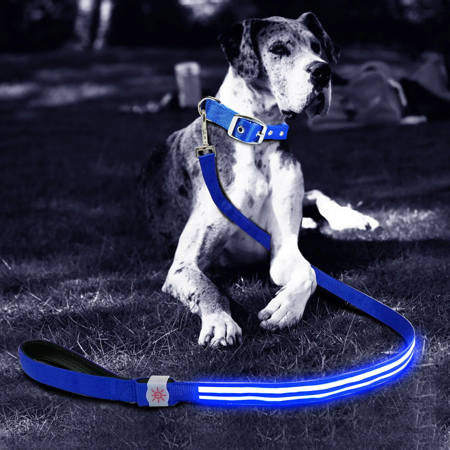 

LED Dog Collar Night Safe Lighting Cool Big Dog Collar Leash Walking Lead, As photos