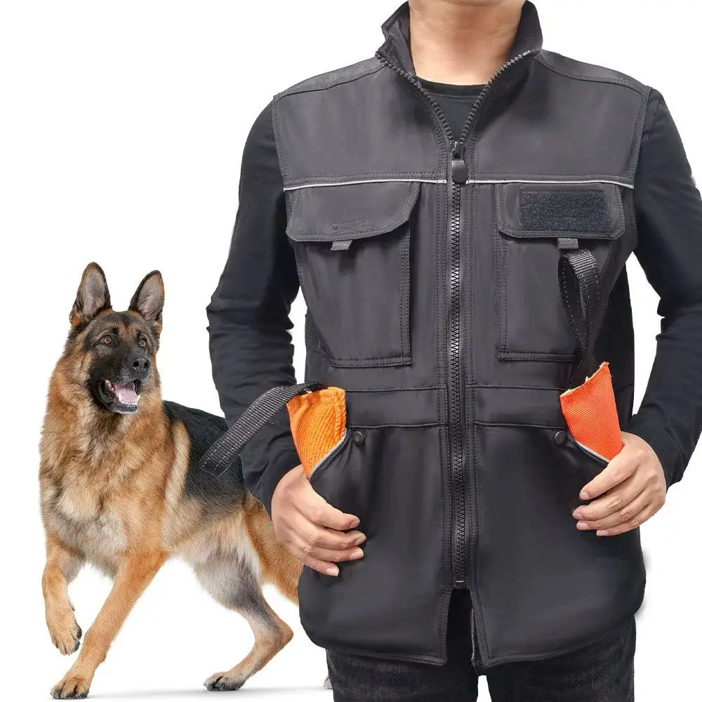 Wholesale Agile Training Dog Vest Sustainable PC Fabric Anti-Seizing Clothing Waterproof for Handler Equipment Outdoor Pet