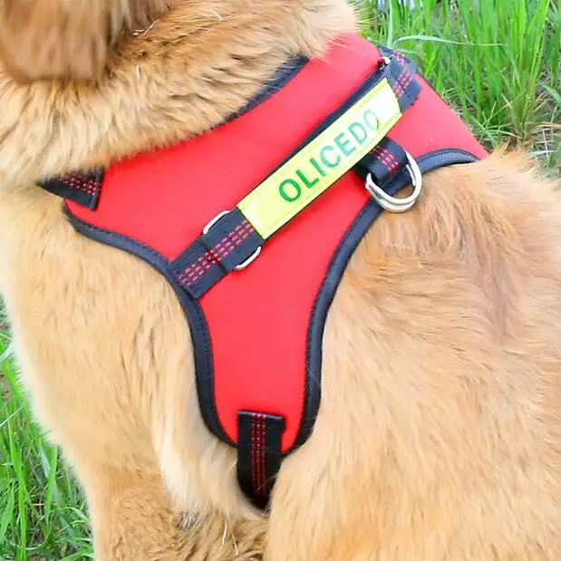 

Promotional Medium Large Size Nylon No Pull Dog Harness With Handle