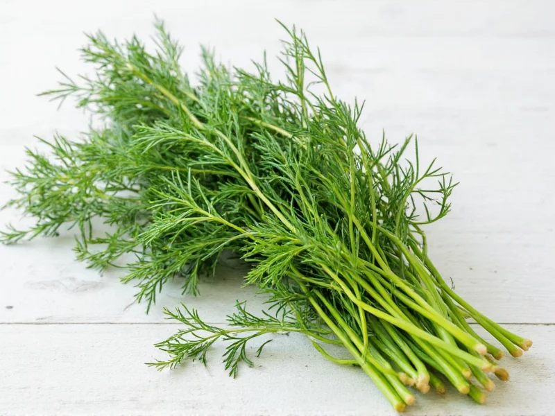 Best Dill Substitutes: Top Alternatives for Any Recipe