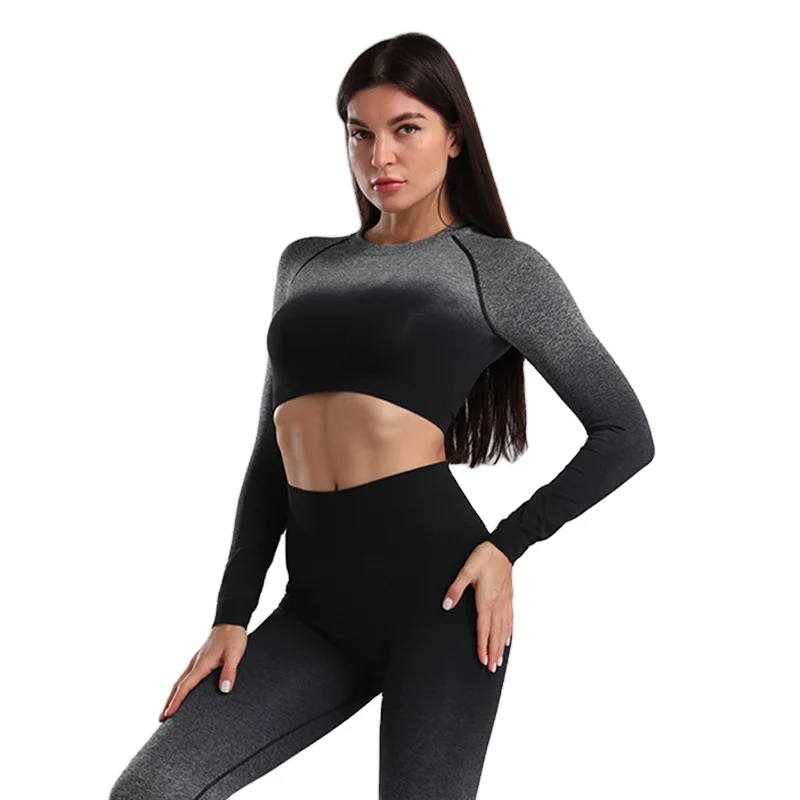 

High Stretch Women Clothing Sets Two Piece Seamless Long Sleeve Crop Top And Pants Set