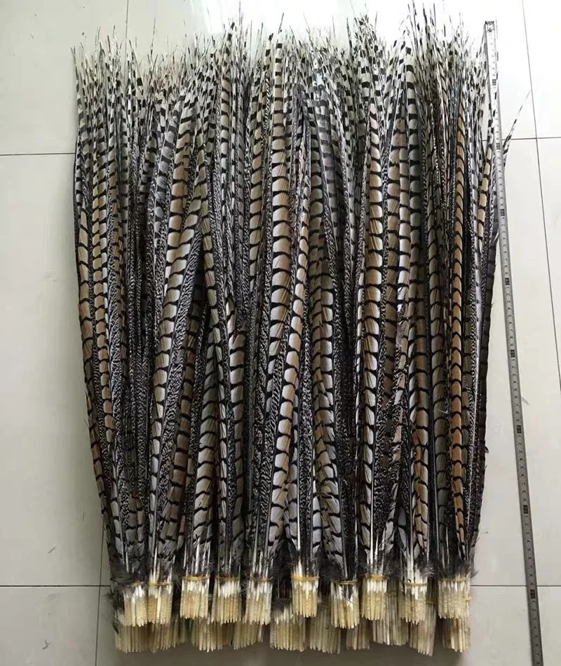 

110-120 cm Customized High Quality Bleached Dyed Lady Amherst Pheasant Tail Feathers
