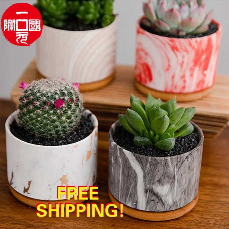 

Wholesale indoor different colour nordic porcelain pot ceramic large size flower pots for plants