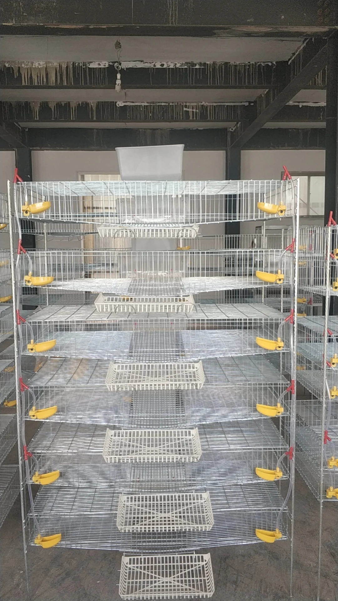 Low Price Manual H Type Quail Cage Buy Quail Breeding Cages,Layer