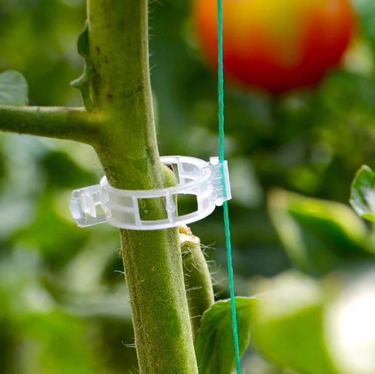 

Plant Support Garden Clips for Vine Vegetables Tomato Trellis Clips Make Garden Vegetable Grow Upright Healthier WhiteTranspares, Transparent/white