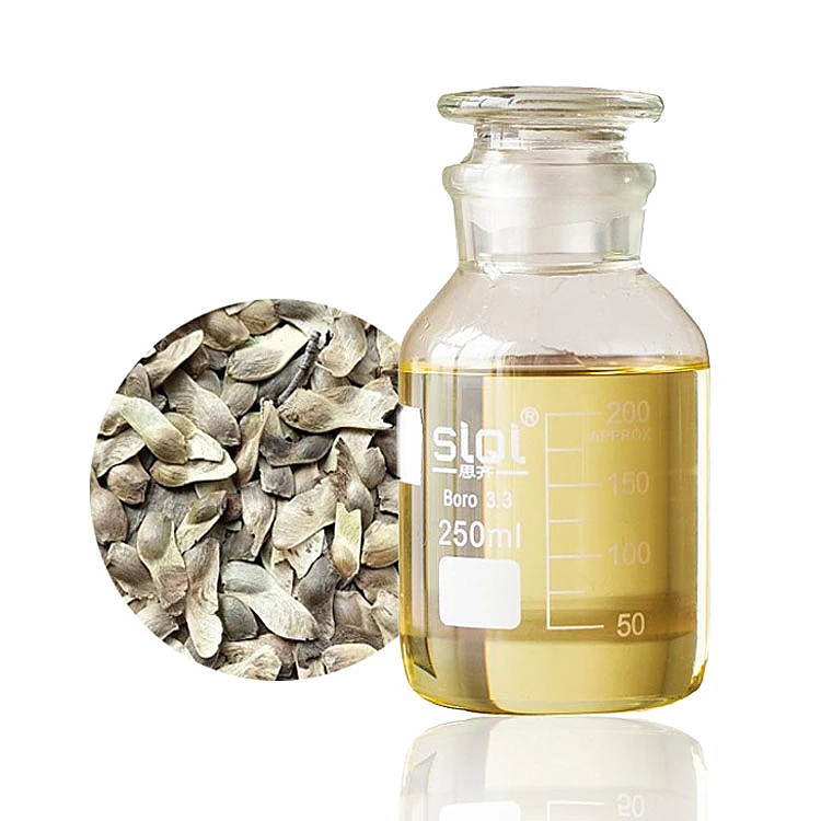 

high purity Acer truncatum seed oil maple seed oil