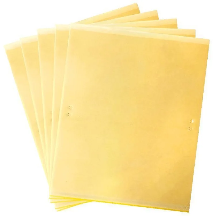 

Outdoor and Indoor Sticky Yellow Pest Card with Organic Pest Control