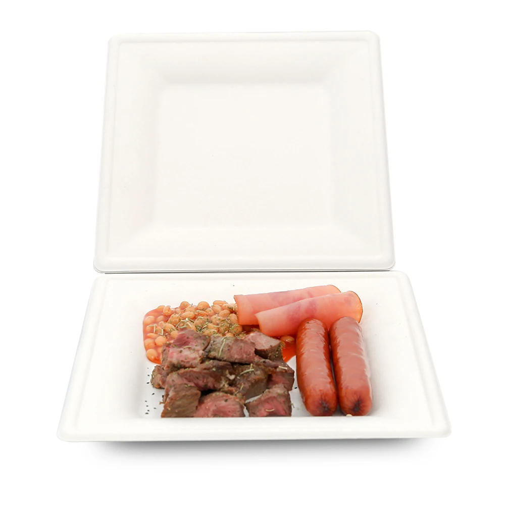 

Square platesbiodegradable disposable biodegradable plate paper plate set