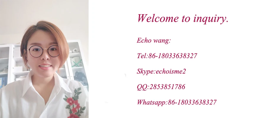 echo wang