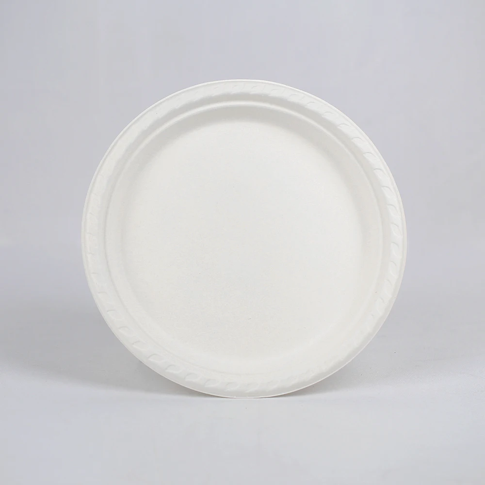 

White Disposable Bagasse Sugarcane Plates